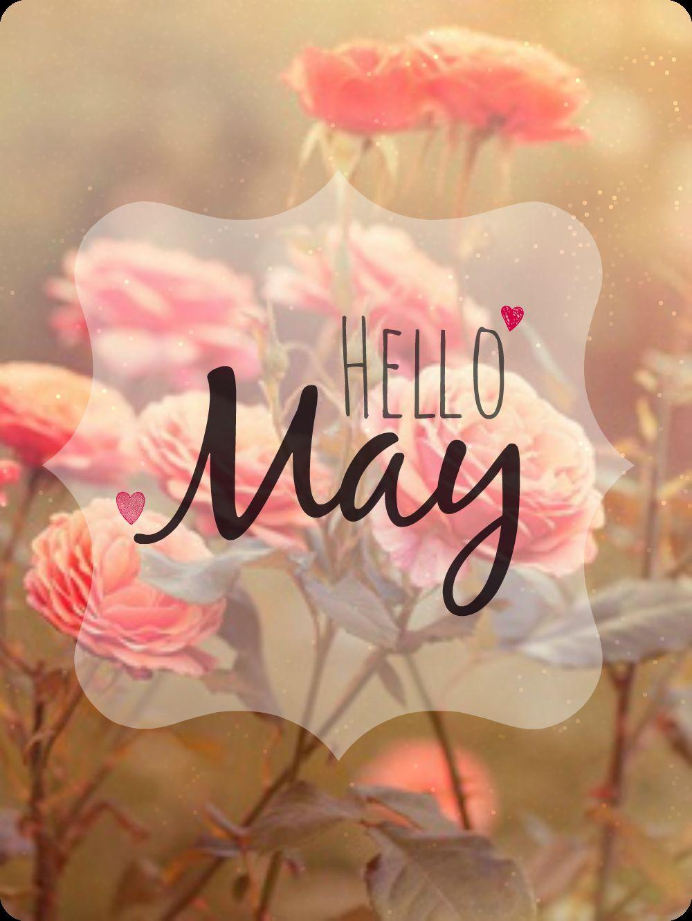168632 Hello May