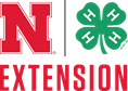 extension logo