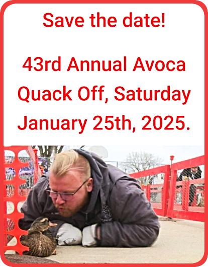 2025 01 08 AVO Quack Off